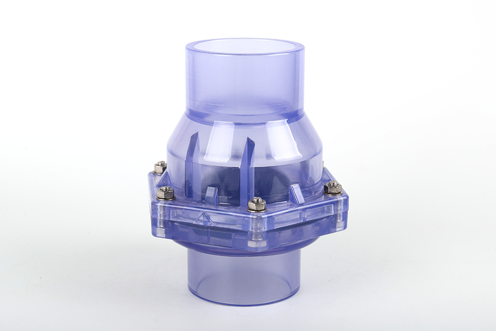 渝北透明翻板式止回阀